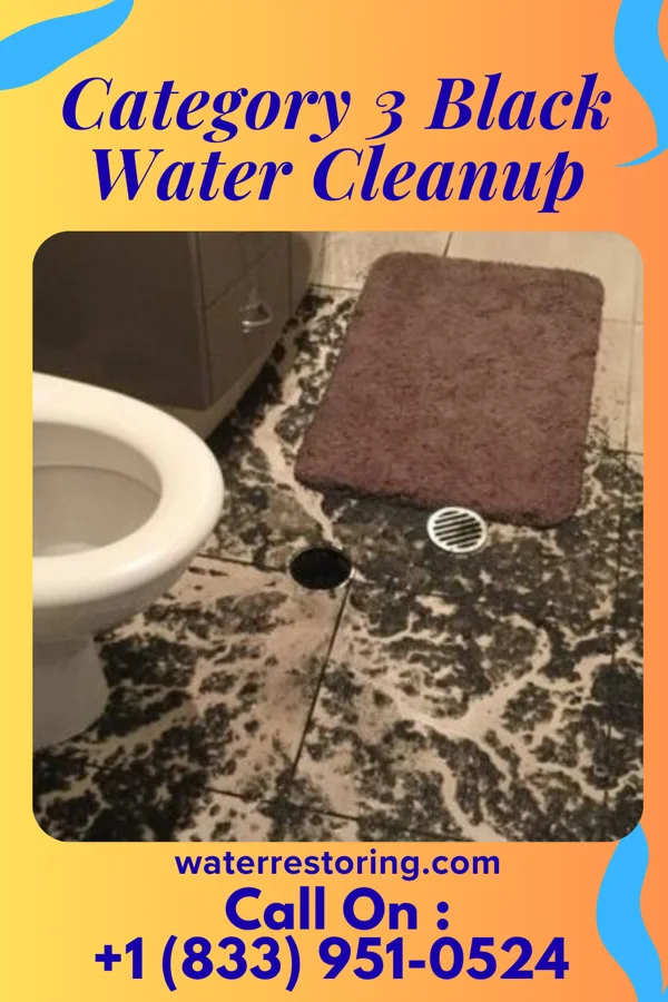 Category 3 Black Water Cleanup in Petrolia, TX