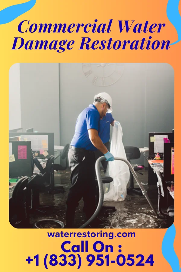Commercial Water Damage Restoration in Petrolia, TX
