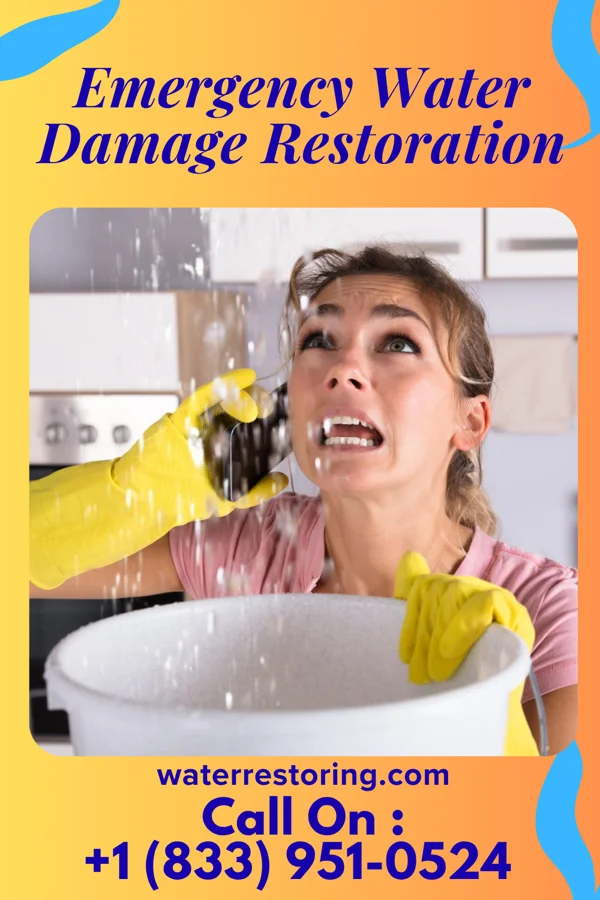 Emergency Water Damage Restoration in Petrolia, TX