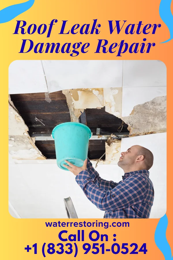Roof Leak Water Damage Repair in Petrolia, TX